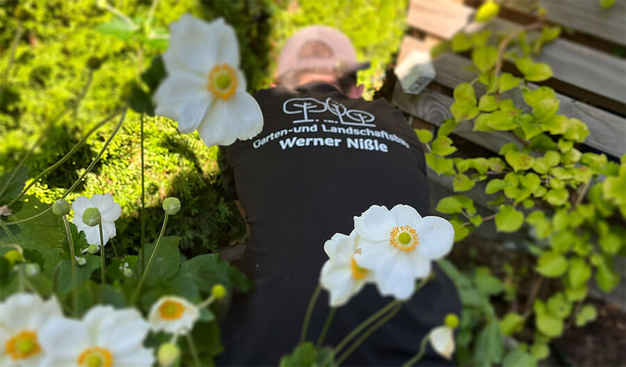 Gartenpflege